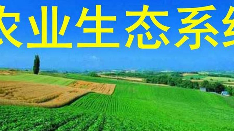 食堂有机蔬菜配送，不止是换一家供应商那么简单