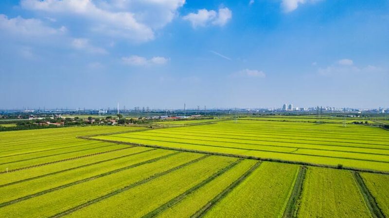 农产品批发市场进货价格谈判技巧解析**