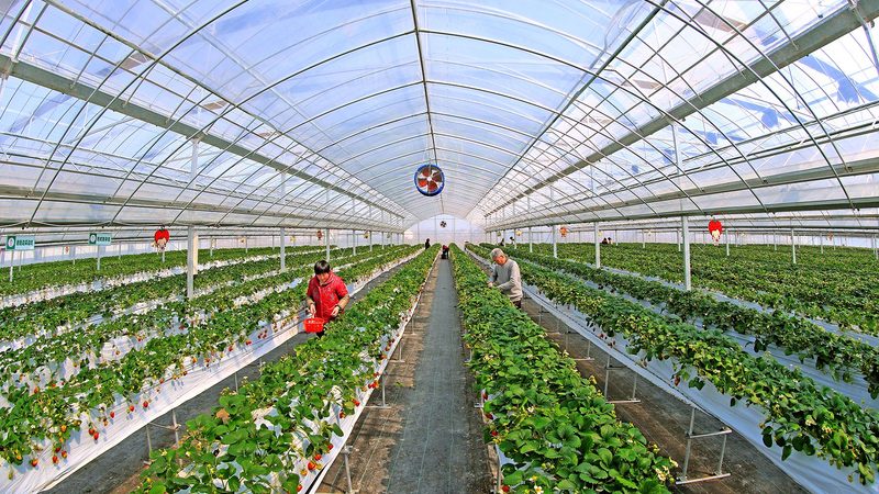生态农业项目风险评估：如何规避潜在风险，保障项目成功**