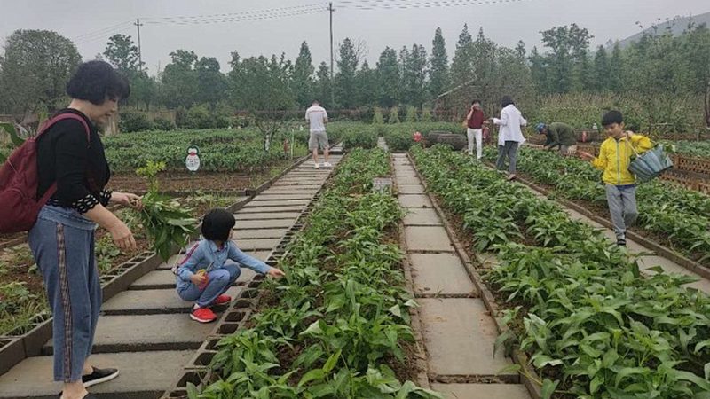 一份完整的食堂食材配送报价明细通常包括以下内容：