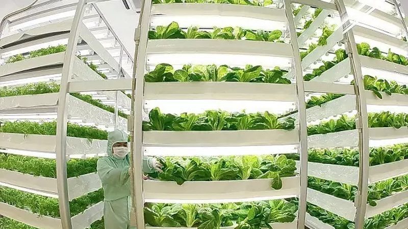 土壤改良，粮食种植的根基