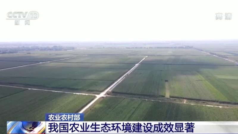 无人机喷药，种植大户病虫害防治新选择