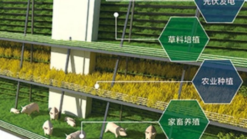 农资运输车辆：规格型号如何选择？**
