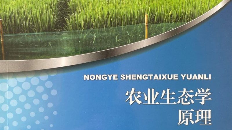 粮食深加工项目厂房，尺寸规范知多少？**