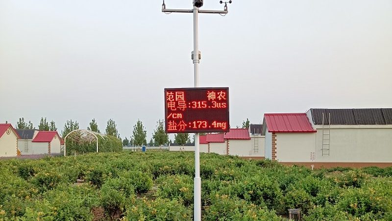 绿色食品真伪辨别方法
