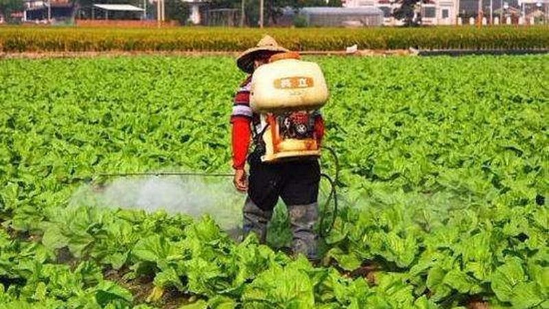 乡村旅游项目投资回报率：如何精准评估与优化